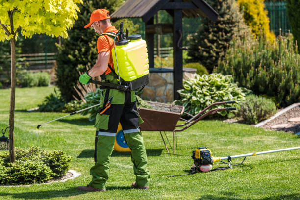 Professional Pest control in Hutchinson, MN